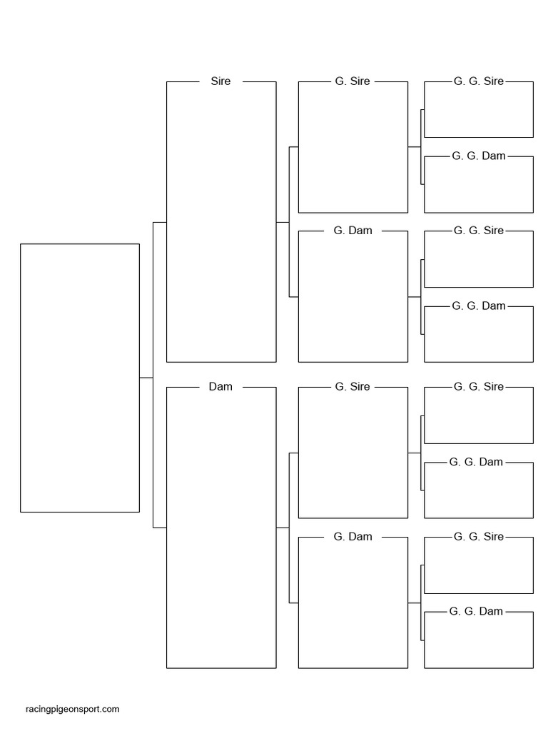 Printable Pigeon Pedigree Template | PDF