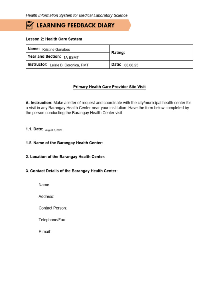 Health Information System Diary for Labs | PDF | Social Programs ...