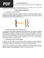 Mecanismos de Replicación del ADN | PDF | Replicación De Adn | Adn