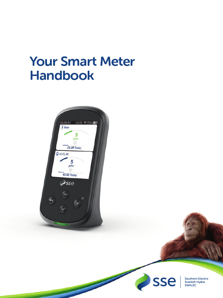 Smart Meter User Guide and Tips | PDF