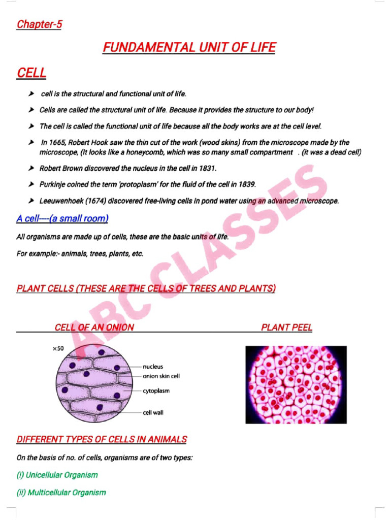 Cell Components and Functions Explained | PDF | Endoplasmic Reticulum ...