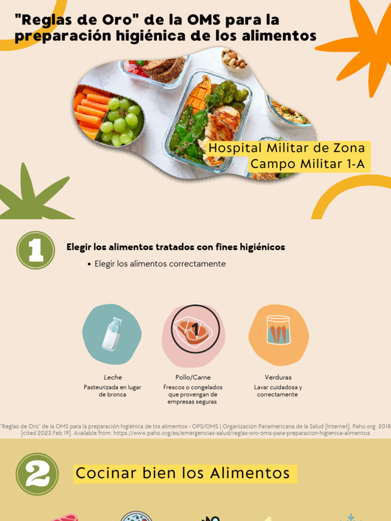 10 Reglas de Oro de la OMS para Alimentos | PDF | Alimentos | Carne