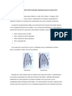 Justificación Del Trabajo Físico de Los Músculos Respiratorios para La Mejora de La Respiración