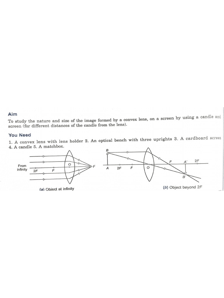 Activity 3 Section B | PDF