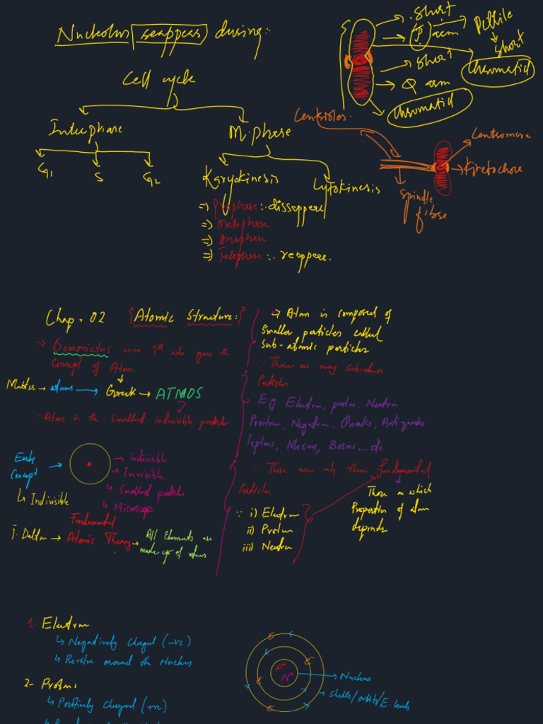 Bio Chem | PDF