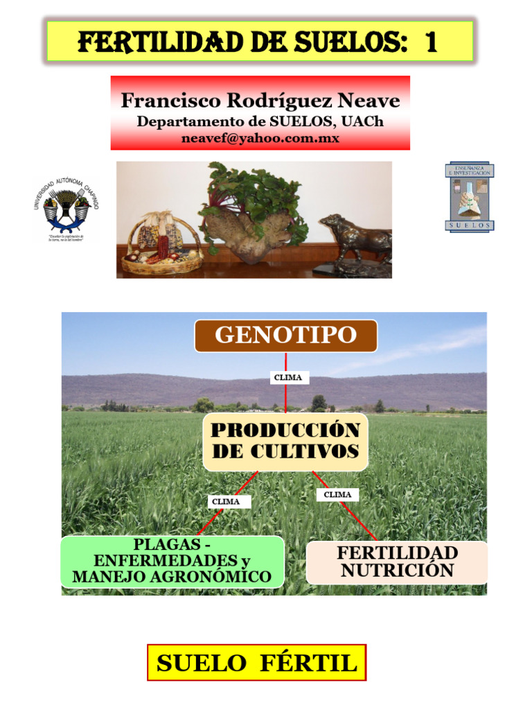 Fertilidad del Suelo y Crecimiento Radicular | PDF | Fertilidad del ...