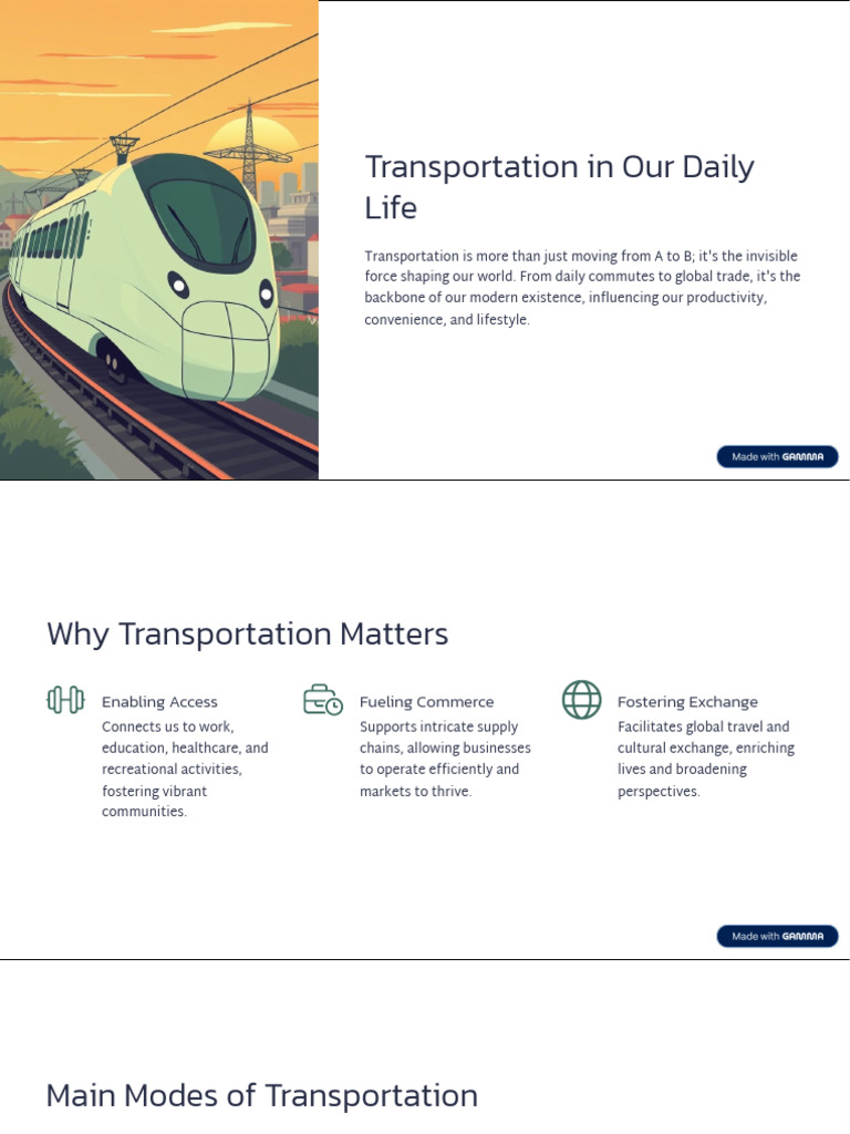 Transportation's Role in Daily Life | PDF | Transport | Infrastructure