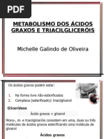 Aula 18.10.08 Metabolismo dos AG e Triacilgliceróis sem figuras