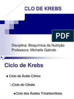 AULA 23.08.08 - Ciclo de Krebs