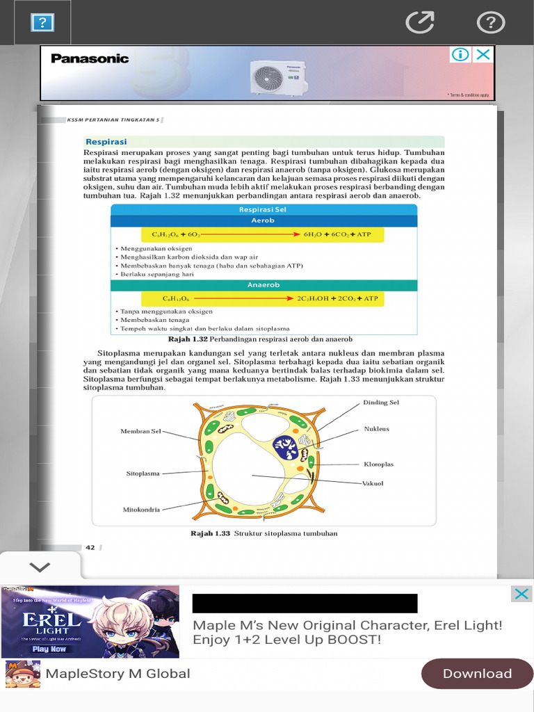 Erel Light in MapleStory M Guide | PDF