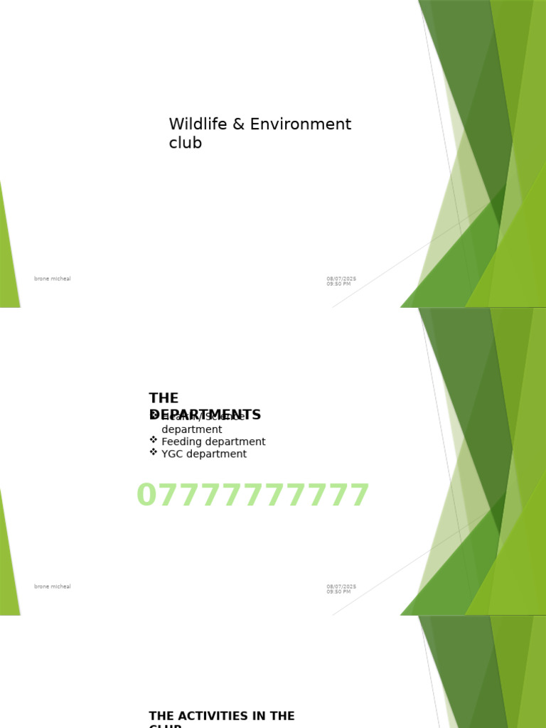 Brone Powerpoint | PDF