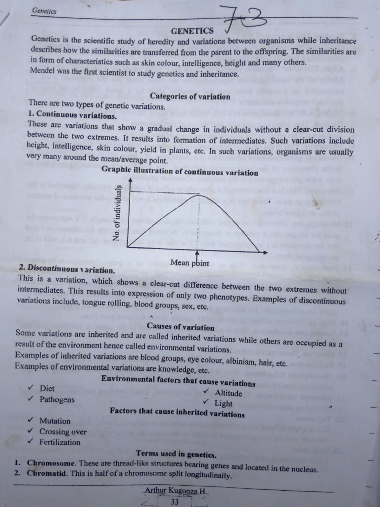 Bio Genetics | PDF