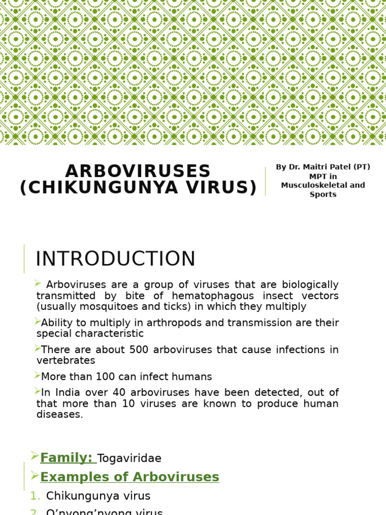 Chikungunya Virus Overview and Control | PDF | Virus | Infection