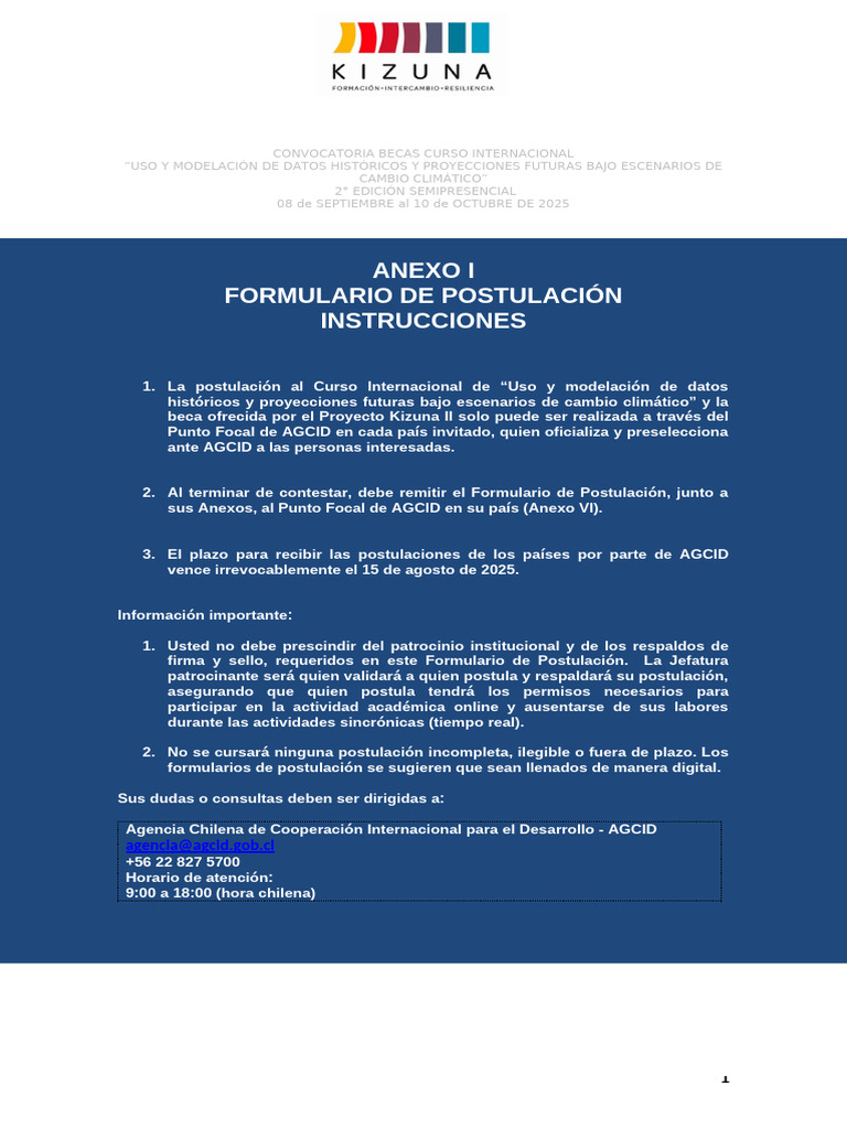 Anexo I - Formulario Postulacion | PDF