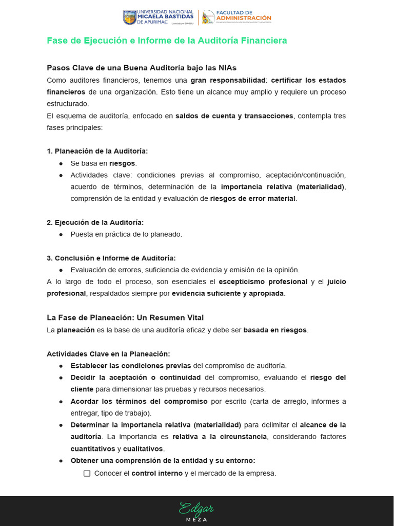 Ejecución e Informe de La Auditoría Financiera | PDF | Auditoría ...