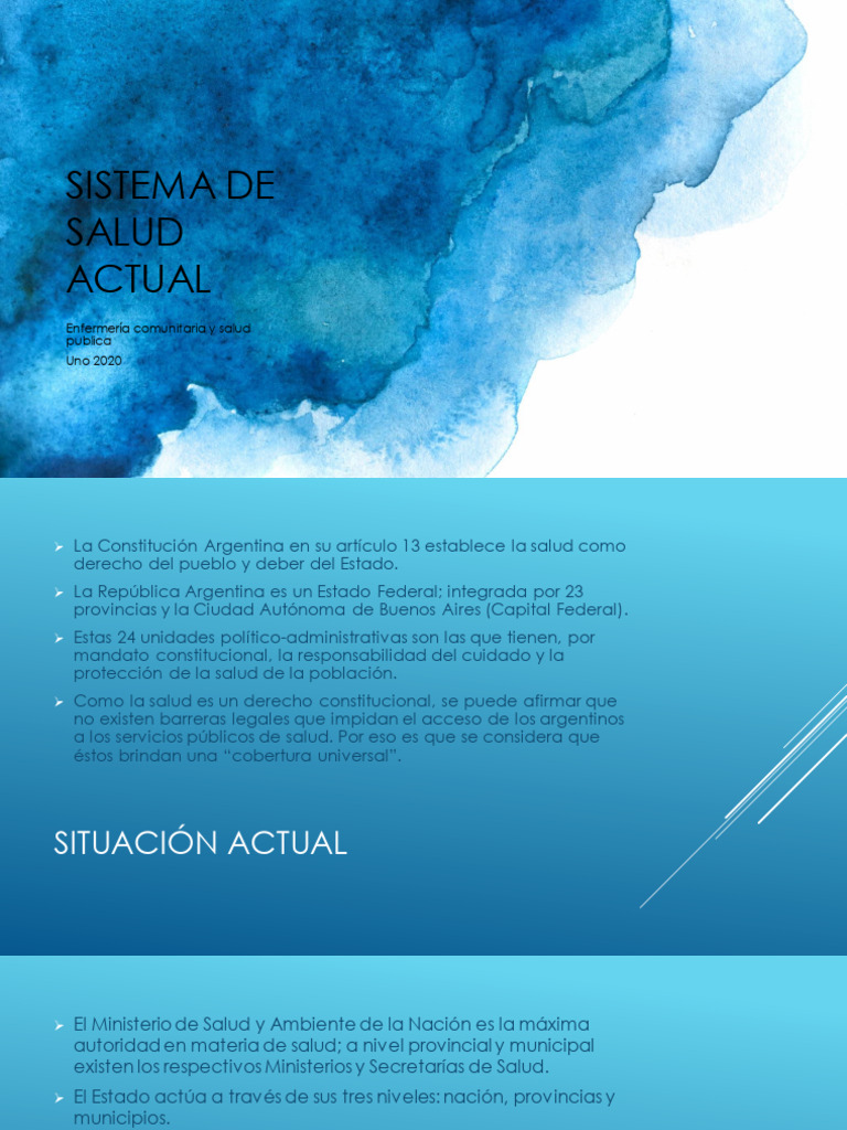 Sistema de Salud en Argentina 2020 | PDF | Ministerio (Departamento de ...