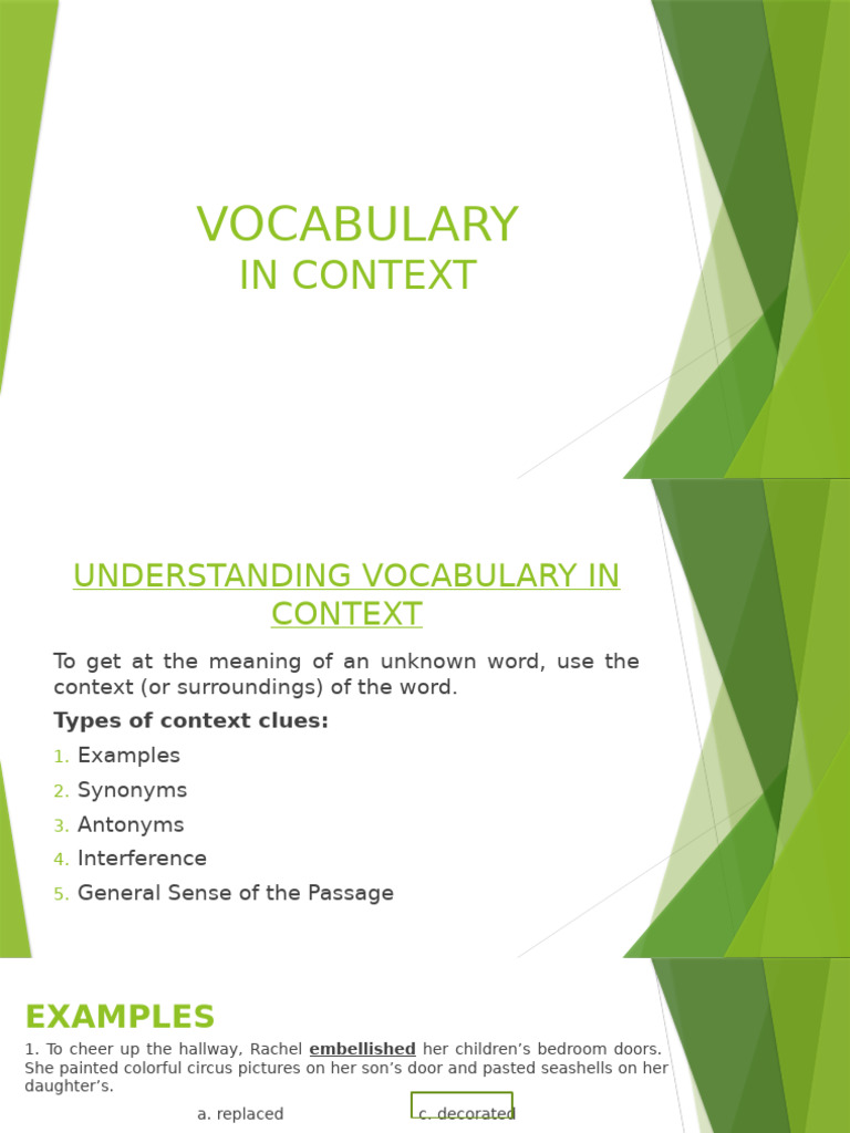 Vocabulary in Context | PDF | Noun | Verb