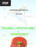 Anatomia Seccional (Aula 2) .