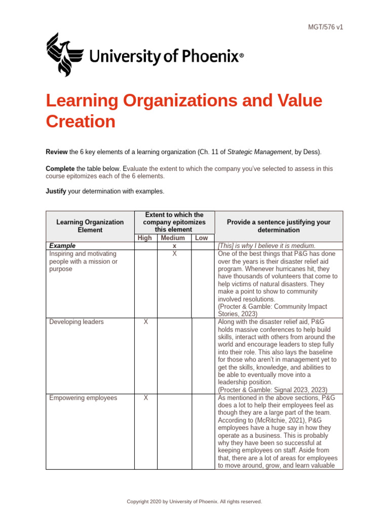 Evaluating P&G as a Learning Organization | PDF | Cognition | Human ...