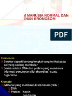 KromosomManusiaNormaldanAbnormalitas