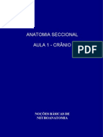 ANATOMIA SECCIONAL (AULA 1)