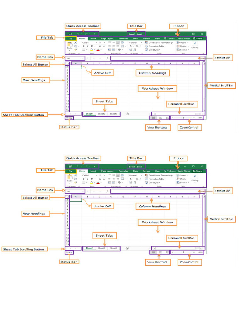 Week 7 The Microsoft Excel | PDF