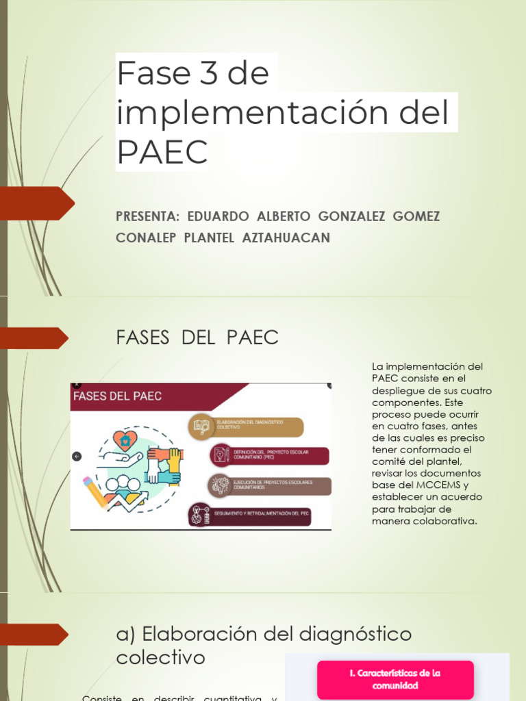 Fase 3 del PAEC: Implementación y Seguimiento | PDF | Plan de estudios ...