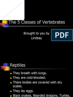 The 5 Classes of Vertebrates