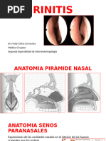 Causas de Rinorrea Unilateral y Rinolicuorrea | PDF | Enfermedades ...
