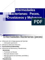 Clases 9-10-11 Bacterias