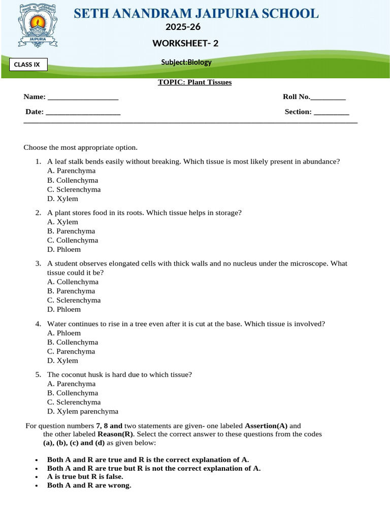Plant Tissues Worksheet for Class IX | PDF | Tissue (Biology) | Plant Stem