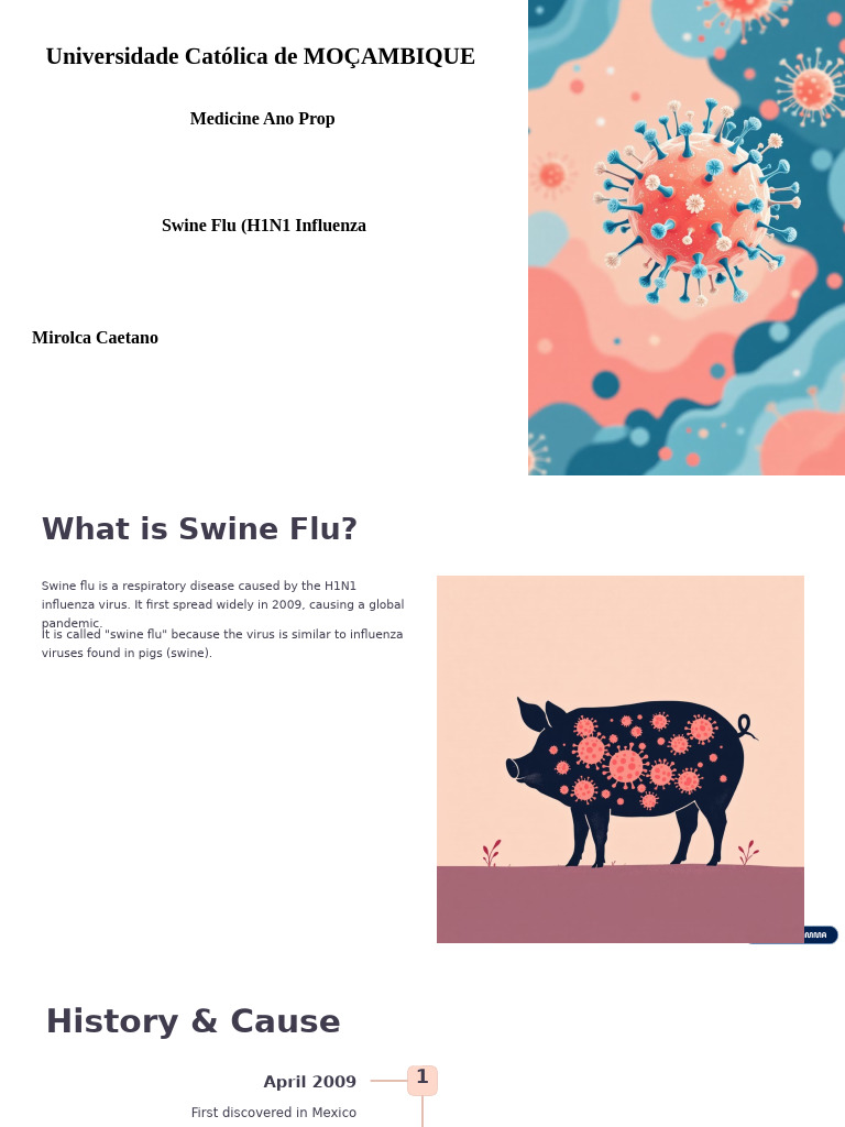 Swine Flu H1N1 Influenza (Mirolca) | PDF | Influenza | Swine Influenza