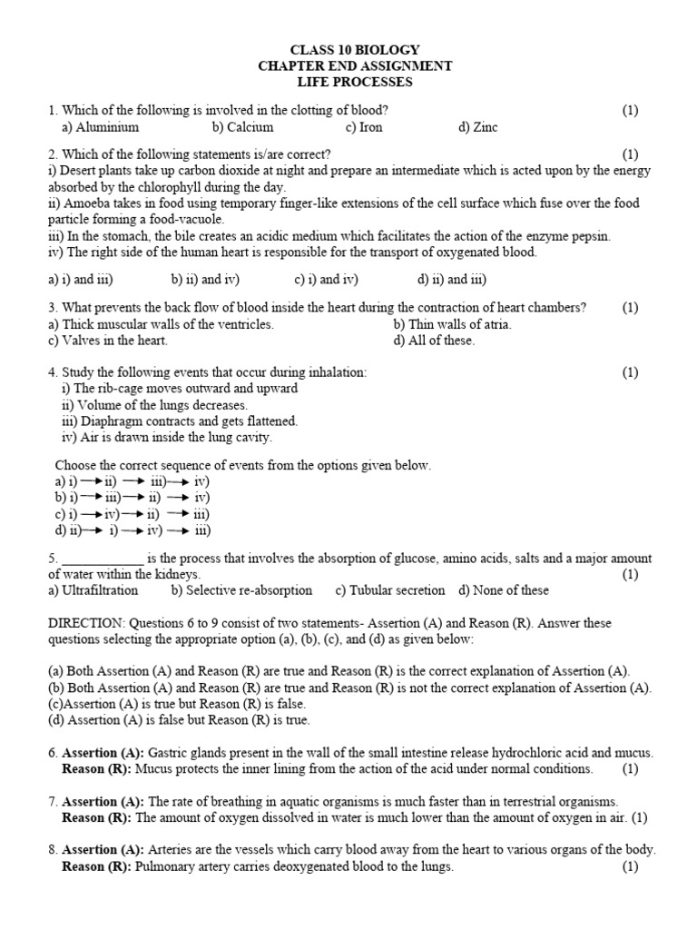 Class 10 Biology Life Processes Assignment | PDF | Heart | Blood