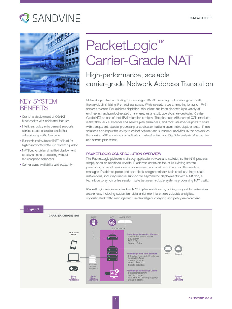 PacketLogic Carrier-Grade NAT Overview | PDF | Ip Address | I Pv6