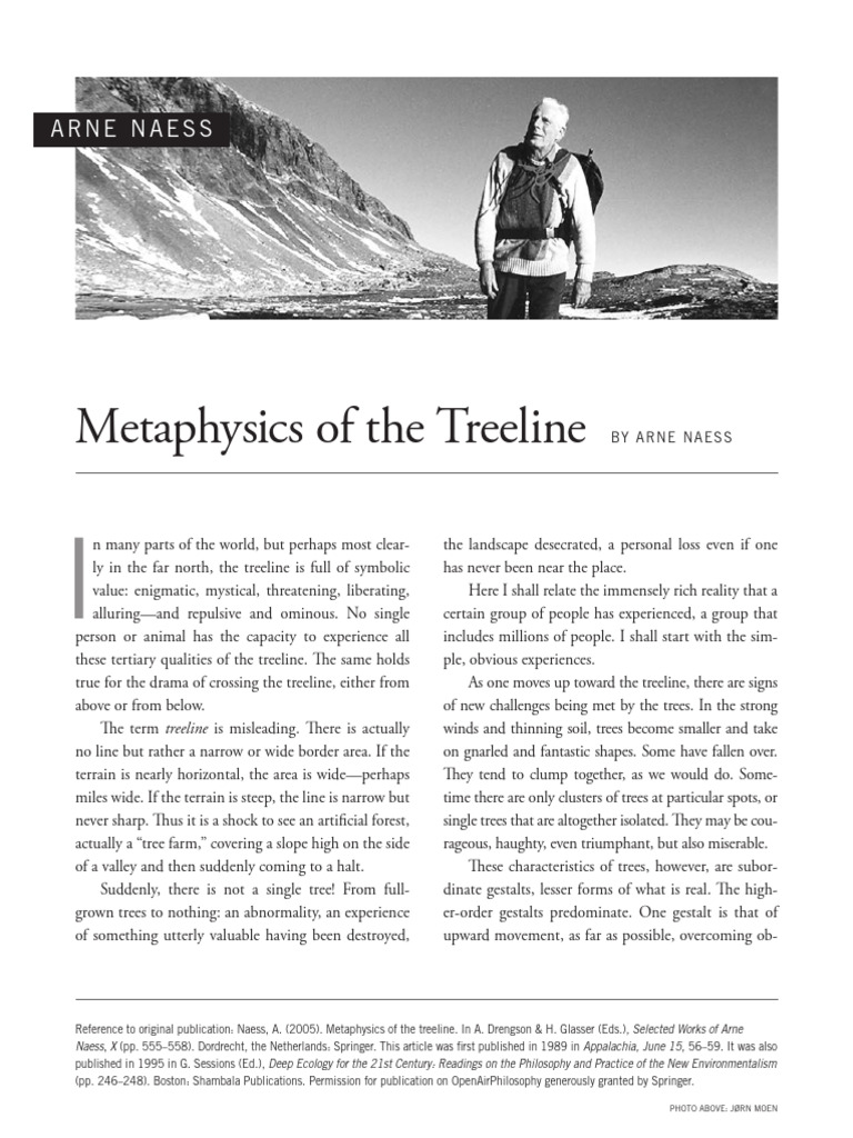 Metaphysics of the Treeline Explained | PDF | Metaphysics | Trees