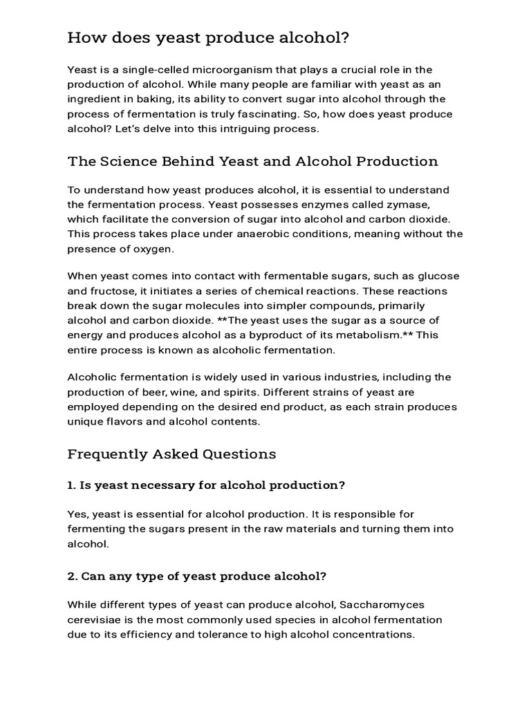 Yeast's Role in Alcohol Production | PDF | Yeast | Fermentation