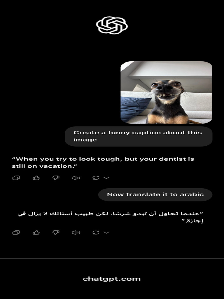 Funny Caption Request Pdf