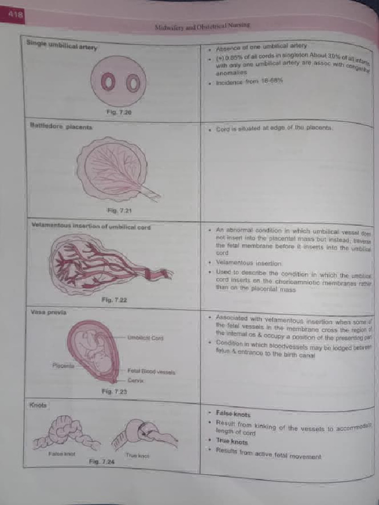 Placental Abnormalities Overview | PDF | Placenta | Obstetrics