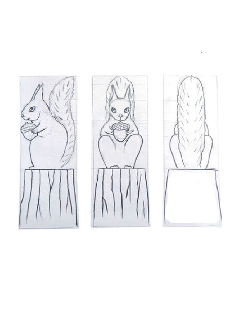 Squirrel | PDF