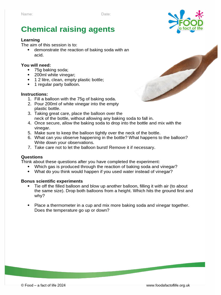 Chemical Raising Agents Experiment | PDF