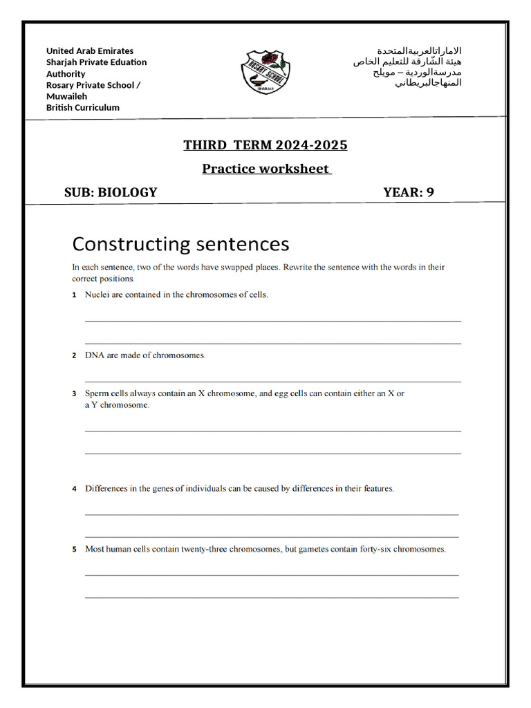 WORKSHEET Year 9 UNIT 7 2 | PDF