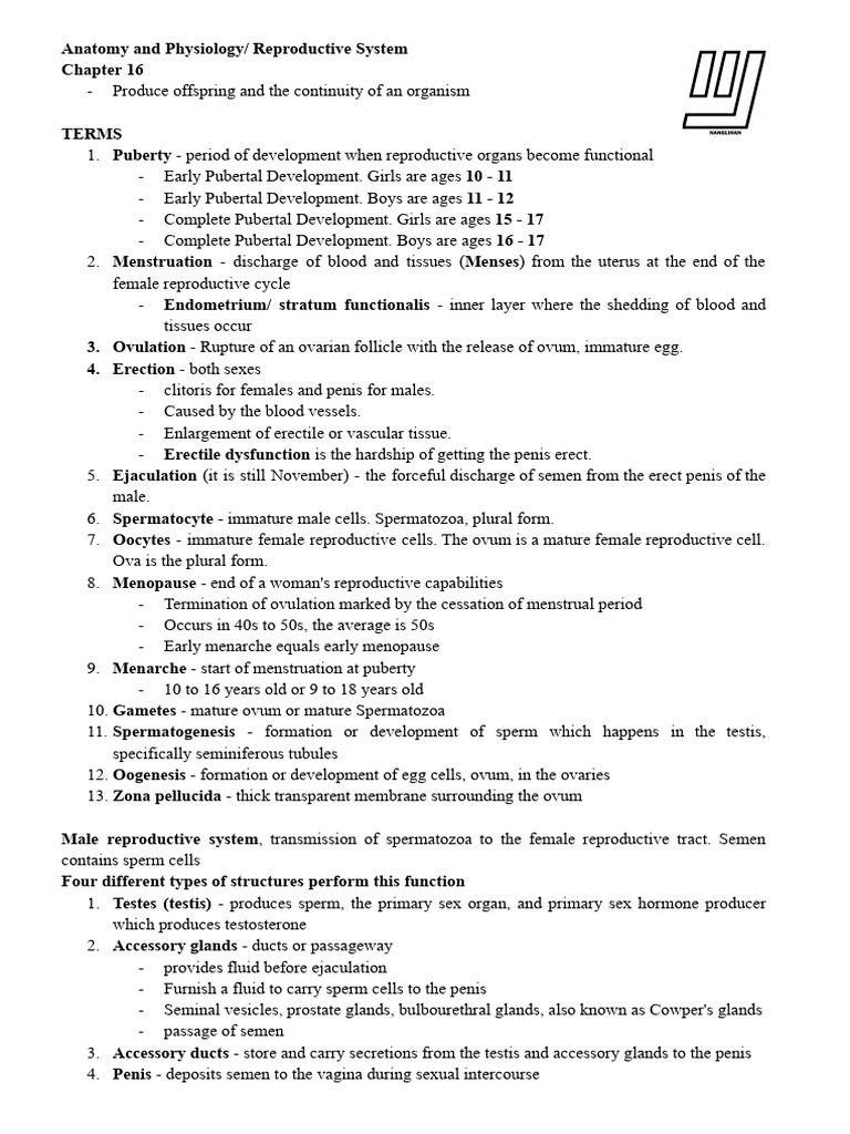 Reproductive System Overview and Functions | PDF | Menstrual Cycle | Uterus