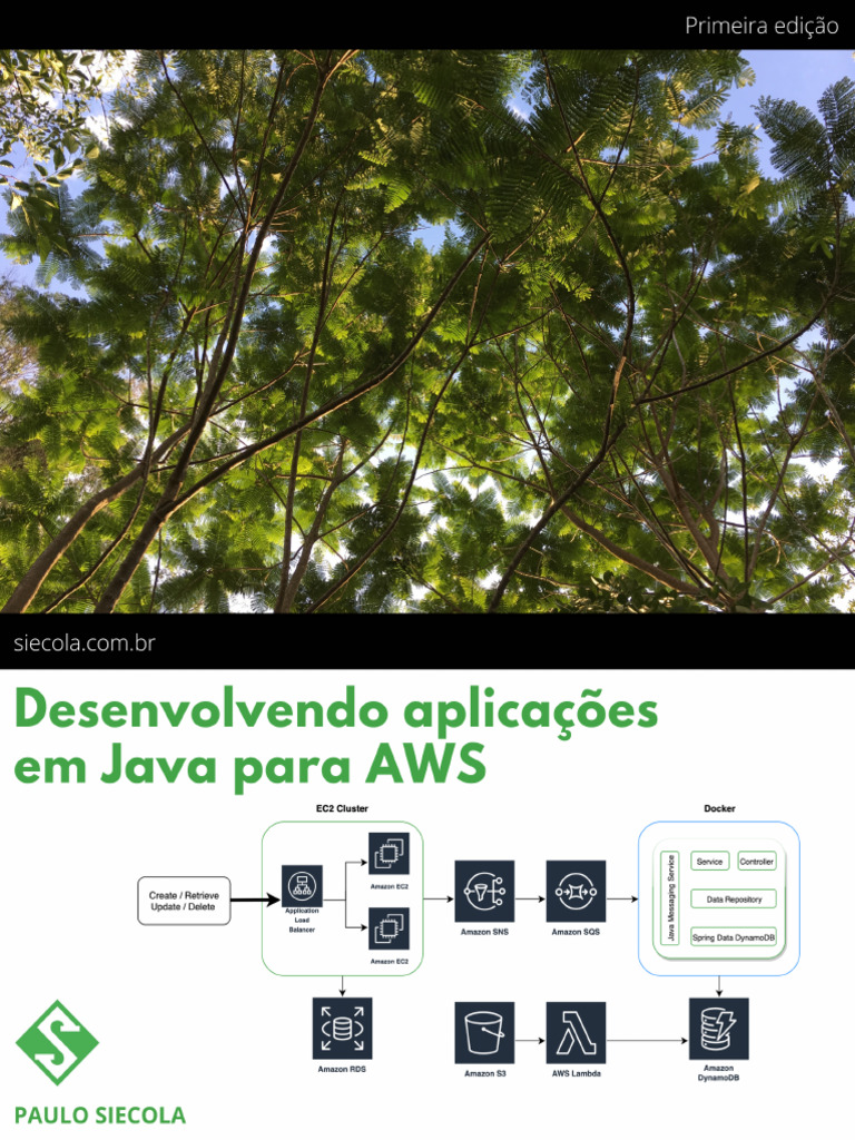 Aplicações Java na AWS com Docker | PDF | Computação em nuvem | Sistema ...