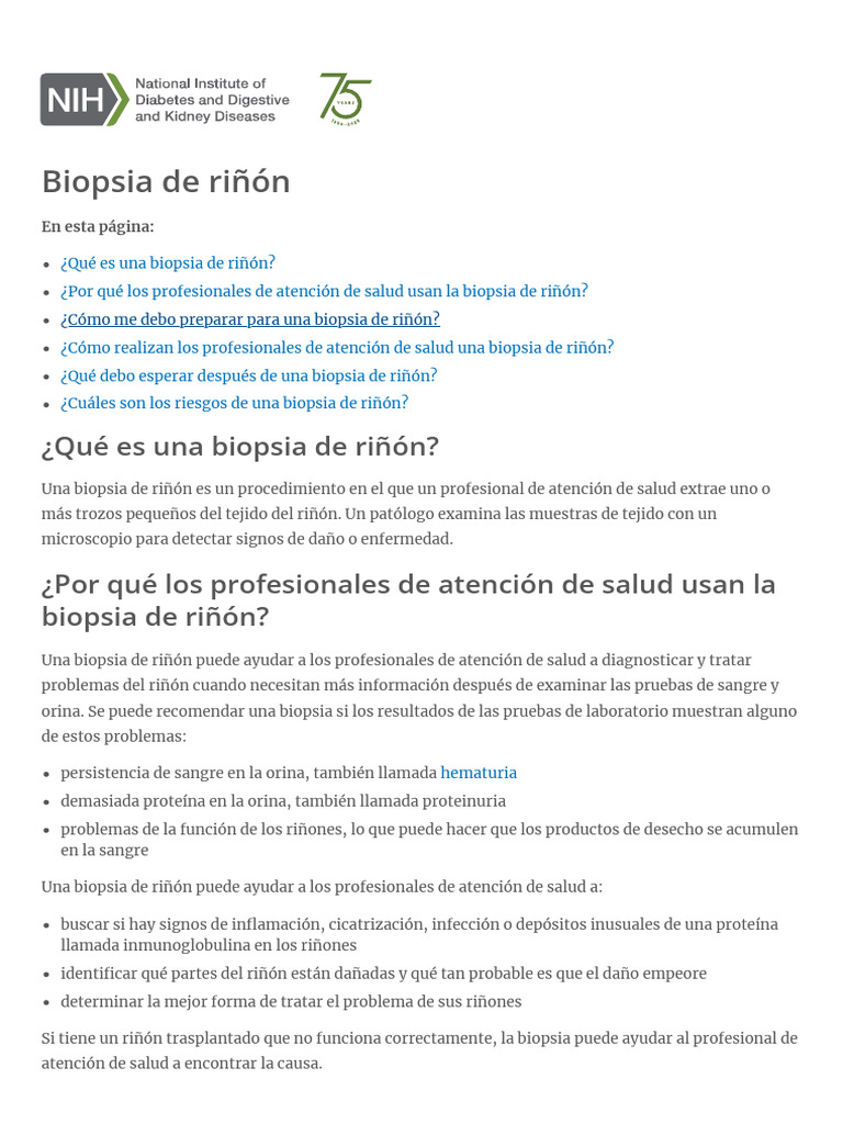 Guía completa sobre biopsia de riñón | PDF | Biopsia | Ultrasonido médico