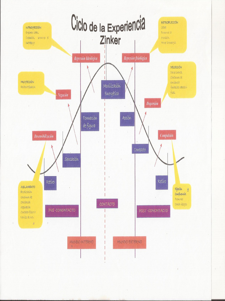 Ciclo de La Experiencia Zinker | PDF