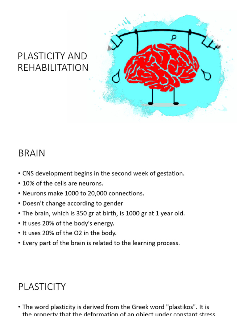 Neuroplasticity in Brain Rehabilitation | PDF | Synaptic Plasticity ...