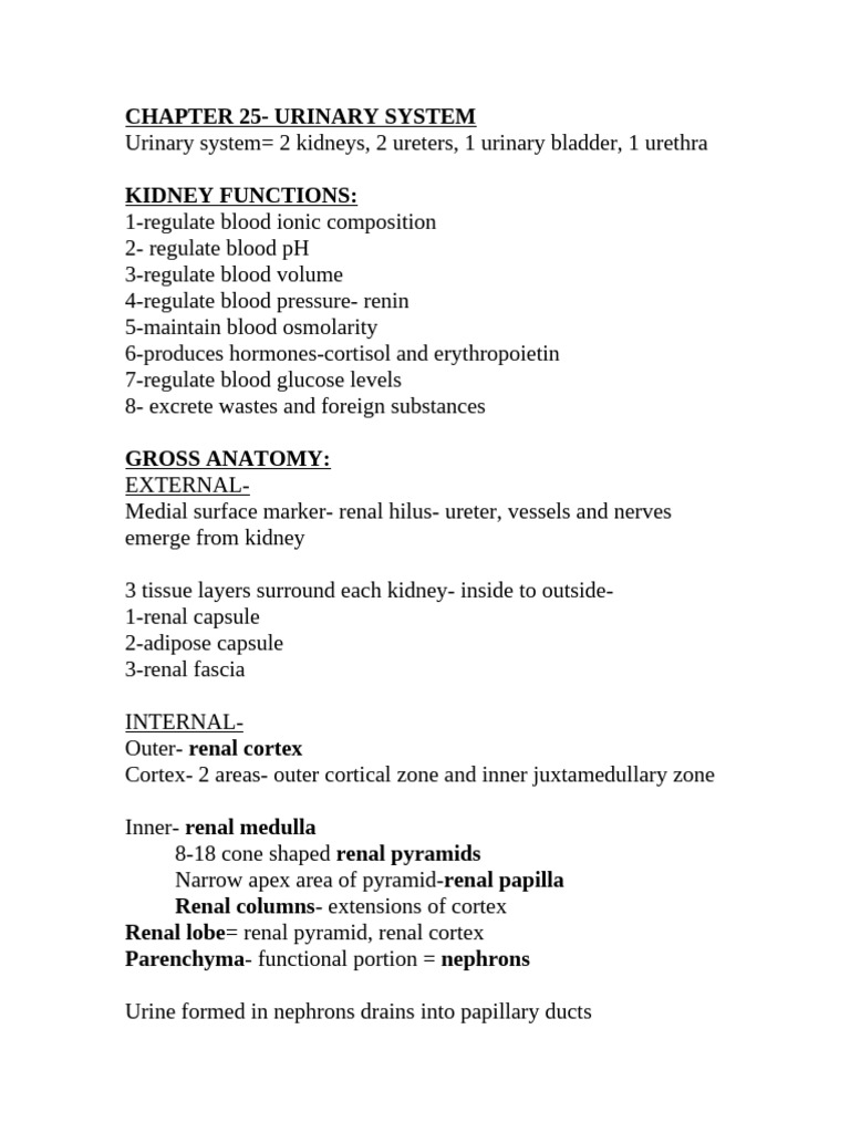 Overview of the Urinary System Functions | PDF | Kidney | Genitourinary ...