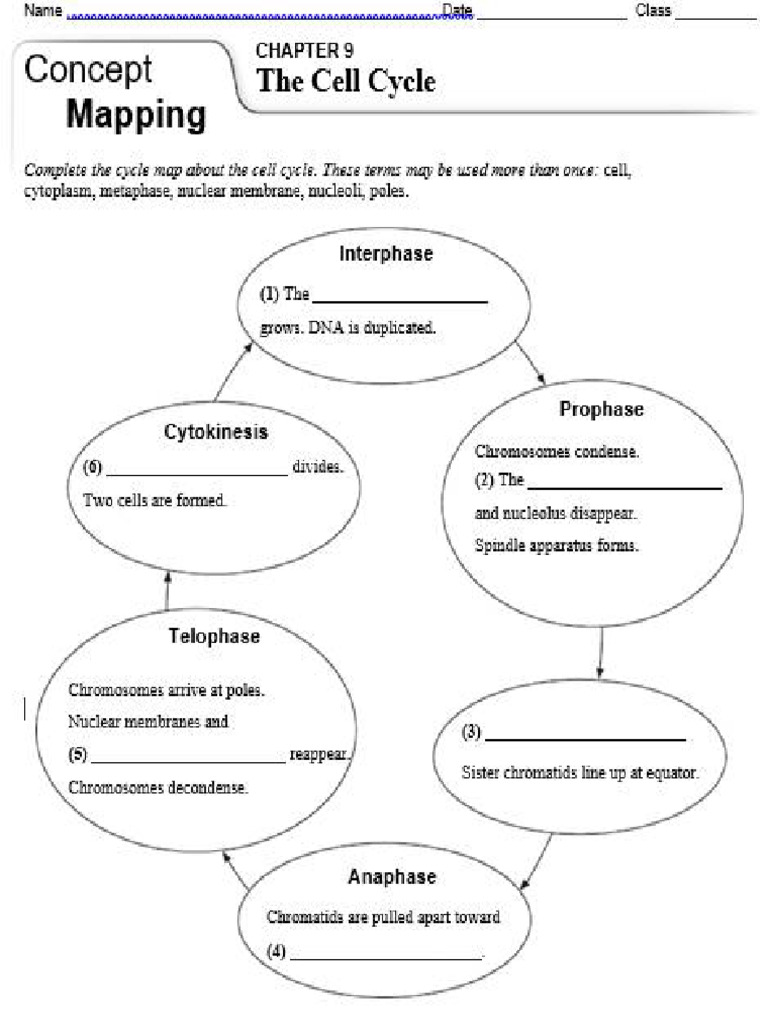 Concept Mapping | PDF