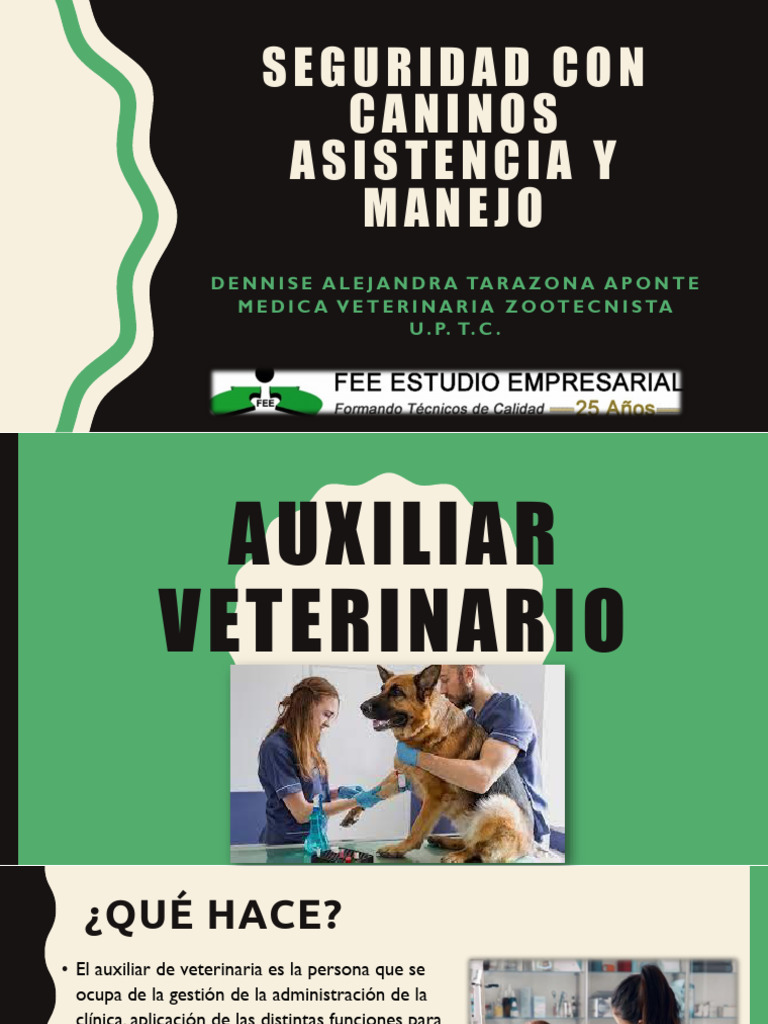 Funciones del Auxiliar Veterinario | PDF | Medicina Veterinaria | Medicina