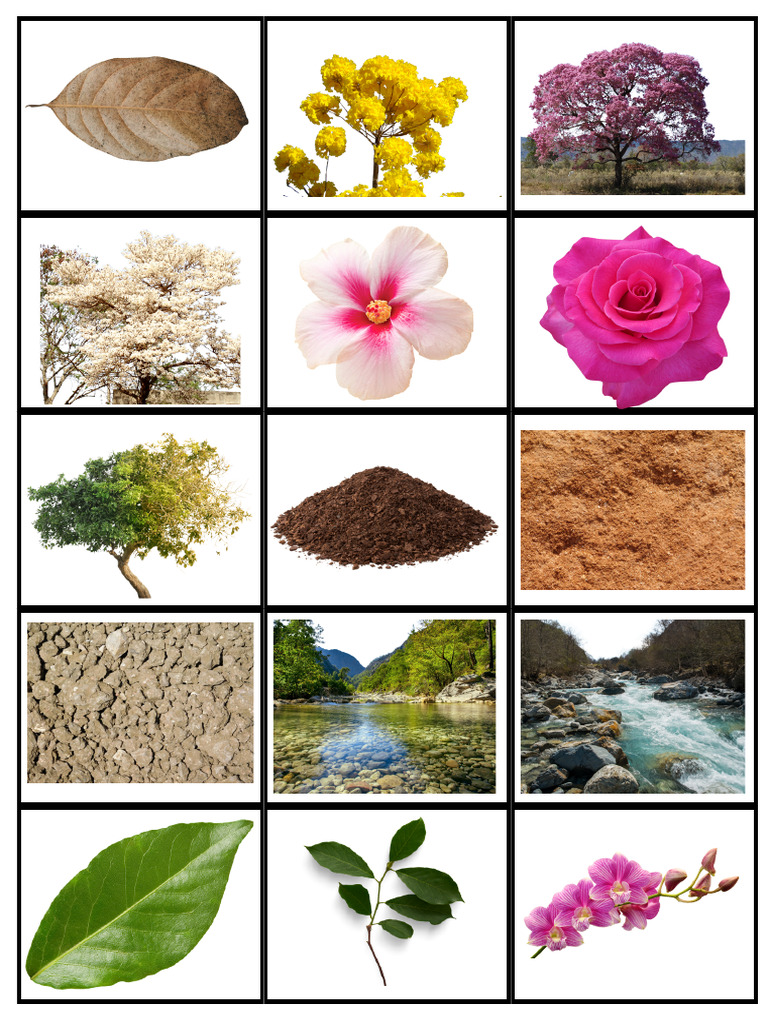Imagens Da Natureza para Imprimir | PDF